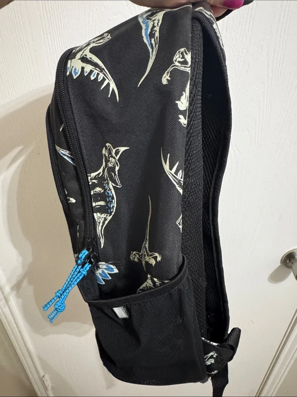 Boys Backpack Dinosaur 3 Front Zip Pockets Mesh Side Pockets Adjustable Straps